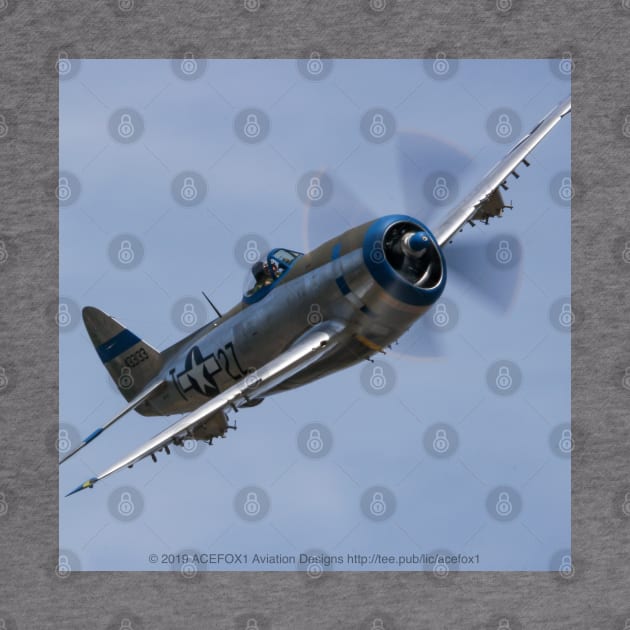 P-47D Thunderbolt Fly-By by acefox1